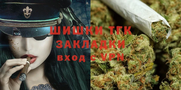 гидра Верхний Тагил
