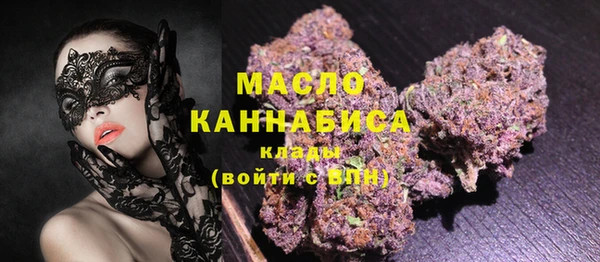 гидра Верхний Тагил