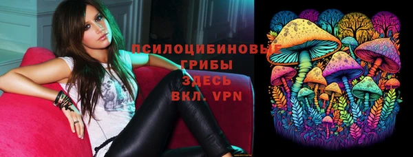 ешки Володарск