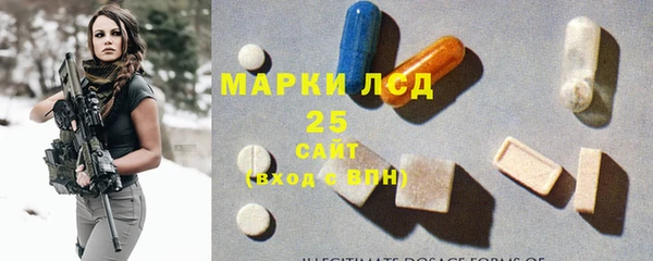гидра Верхний Тагил