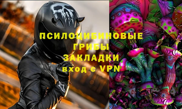 ешки Володарск