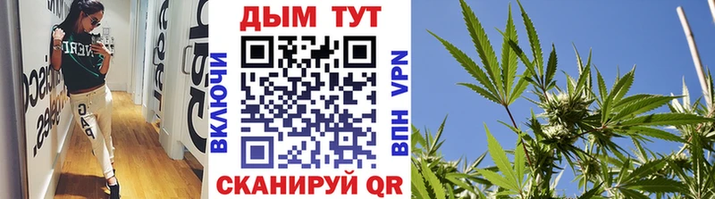Каннабис ГИДРОПОН  Елабуга 